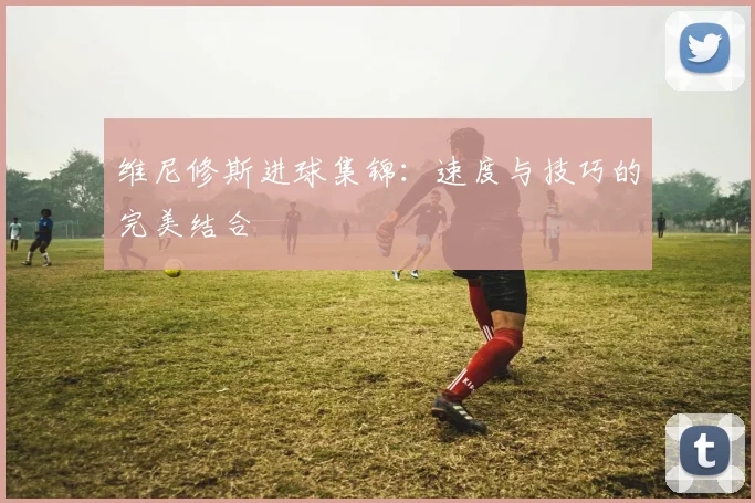 维尼修斯进球集锦：速度与技巧的完美结合